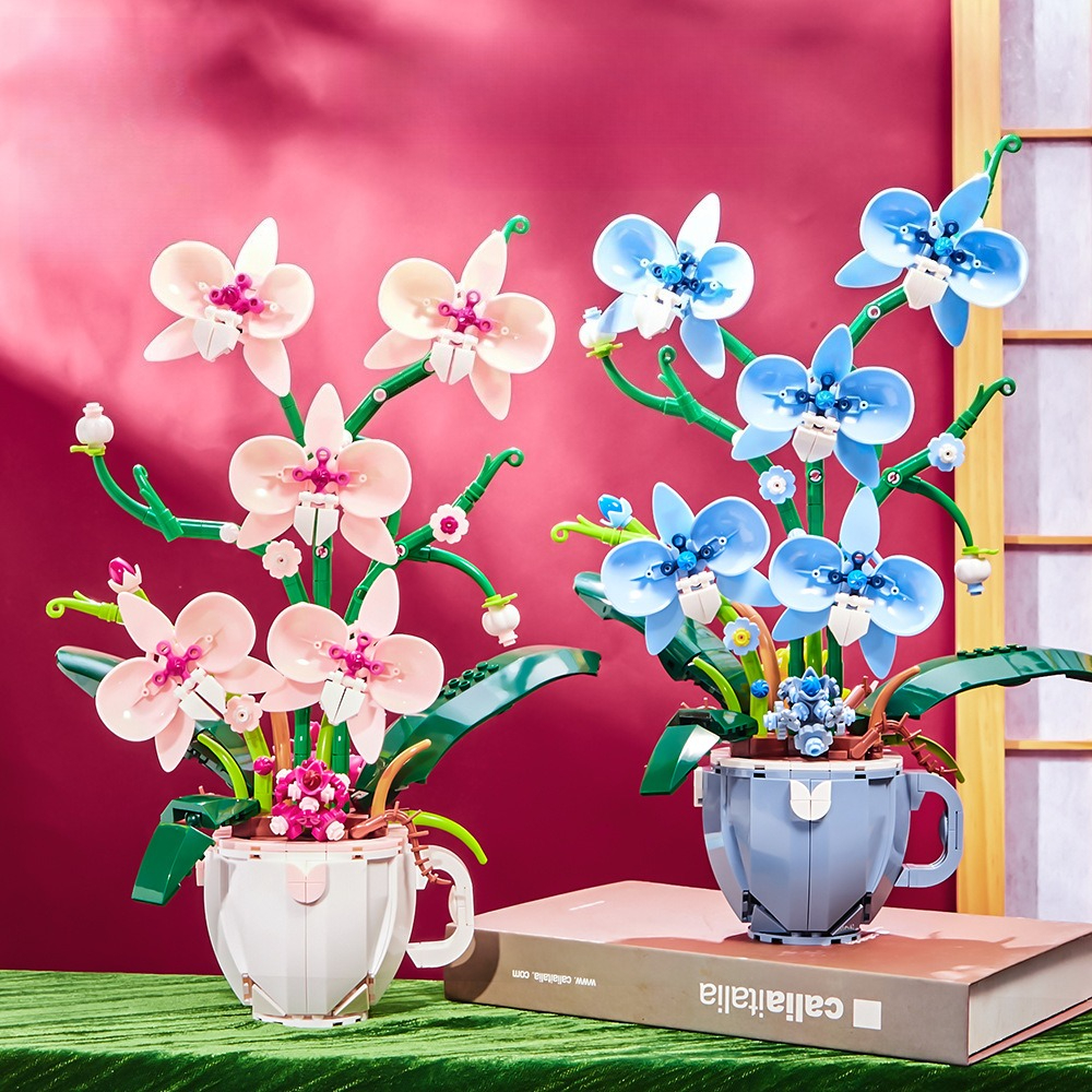 Orchid Kids Education - GSF Flower Orchid Coffee Cup Potted