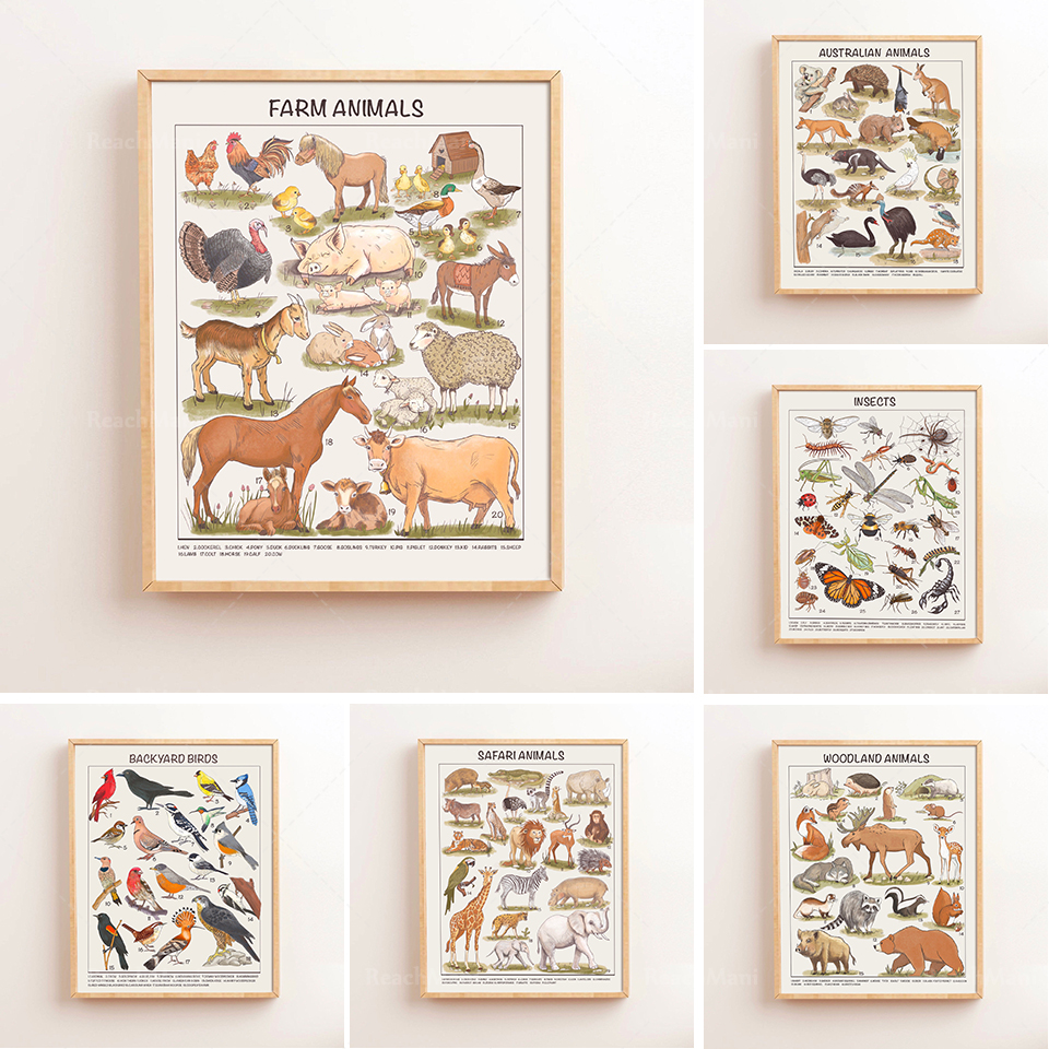 Kids Education Nursery - Safari Animals Educational Posters Nursery Downloadable