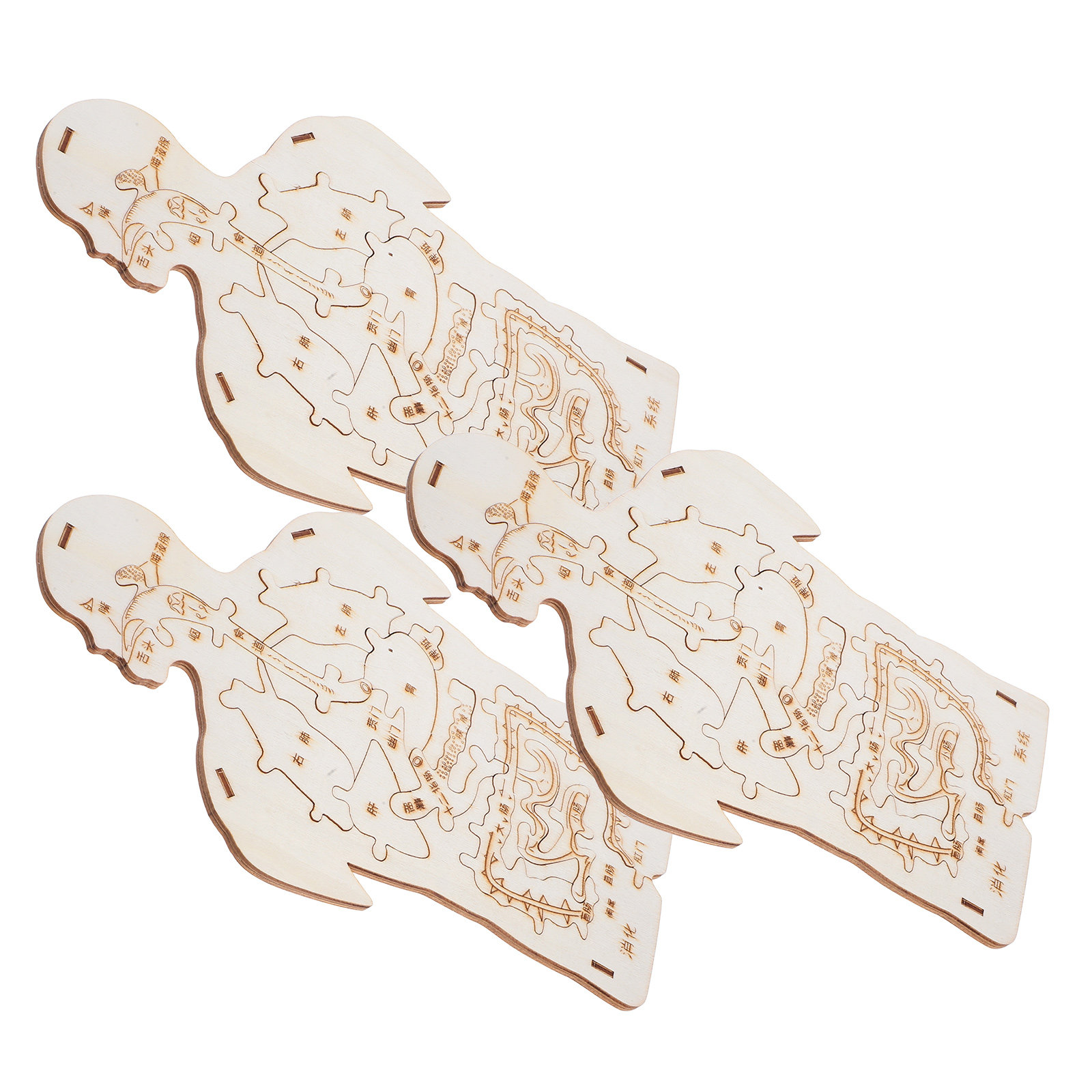 3Pcs Wooden Human Body Puzzle  - đánh giá và giá Human Body Puzzle