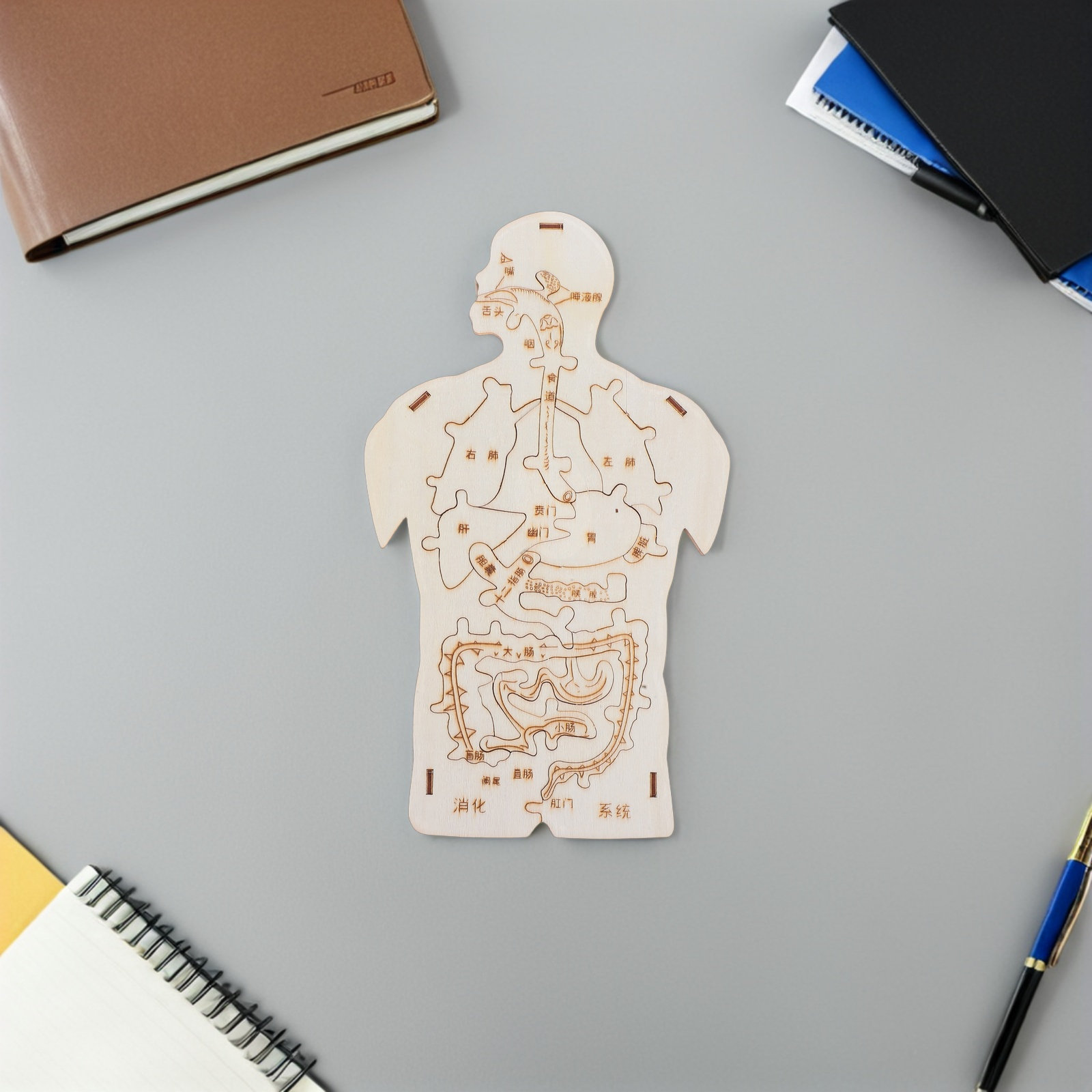 3Pcs Wooden Human Body Puzzle  - đánh giá và giá Human Body Puzzle