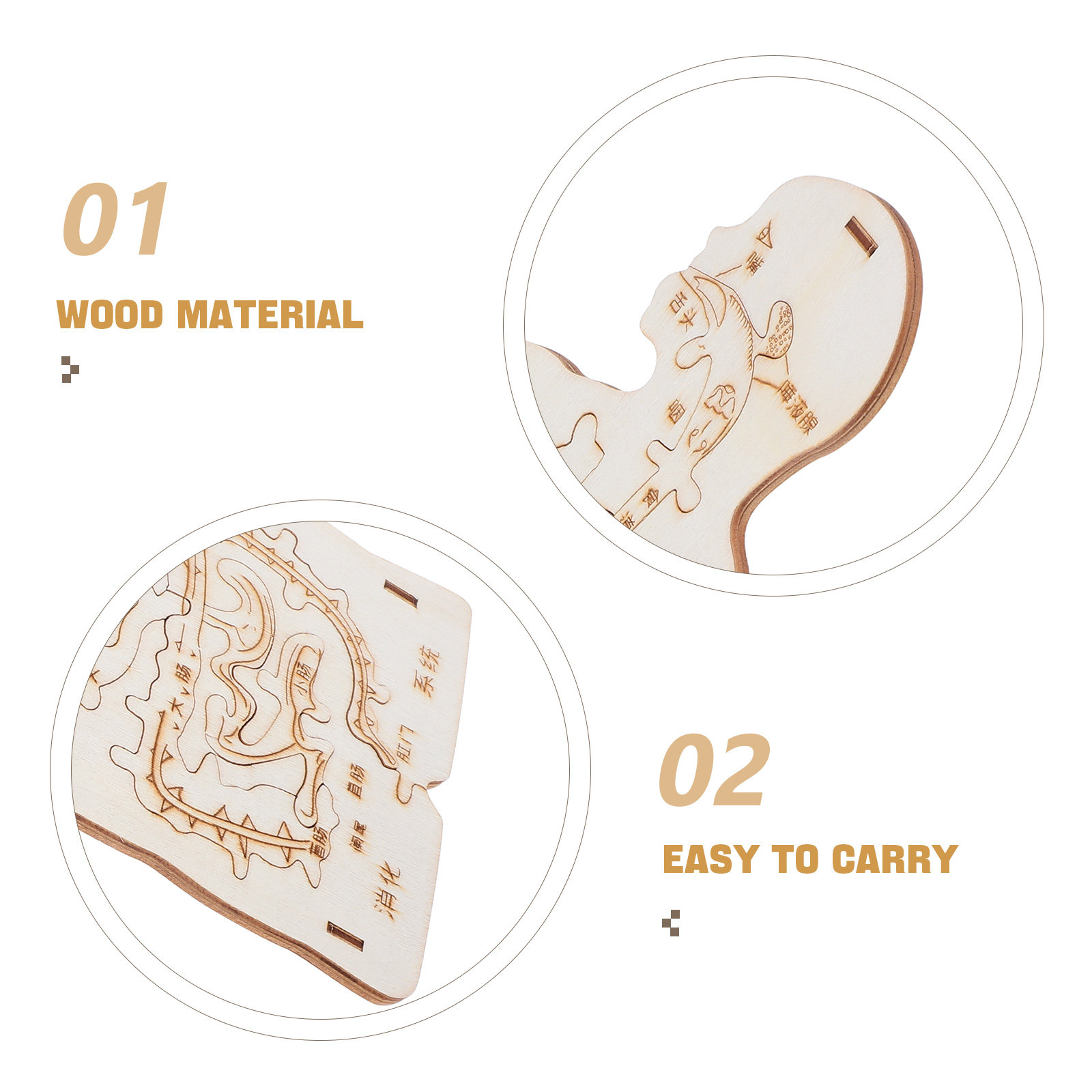 3Pcs Wooden Human Body Puzzle  - đánh giá và giá Human Body Puzzle