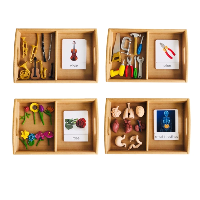 Montessori Language Materials  - đánh giá và giá Human Body Puzzle