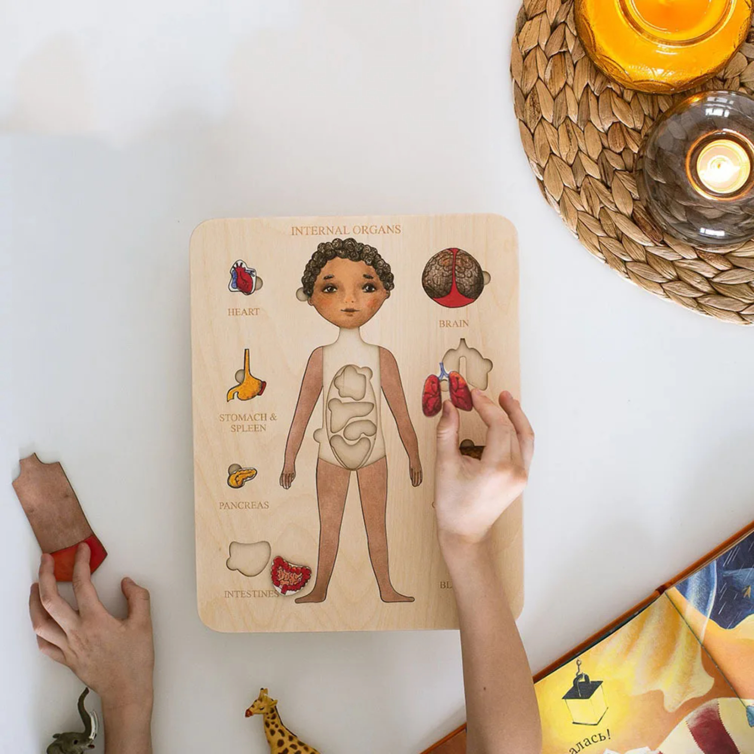 Montessori Wooden Puzzle Male  - đánh giá và giá Human Body Puzzle