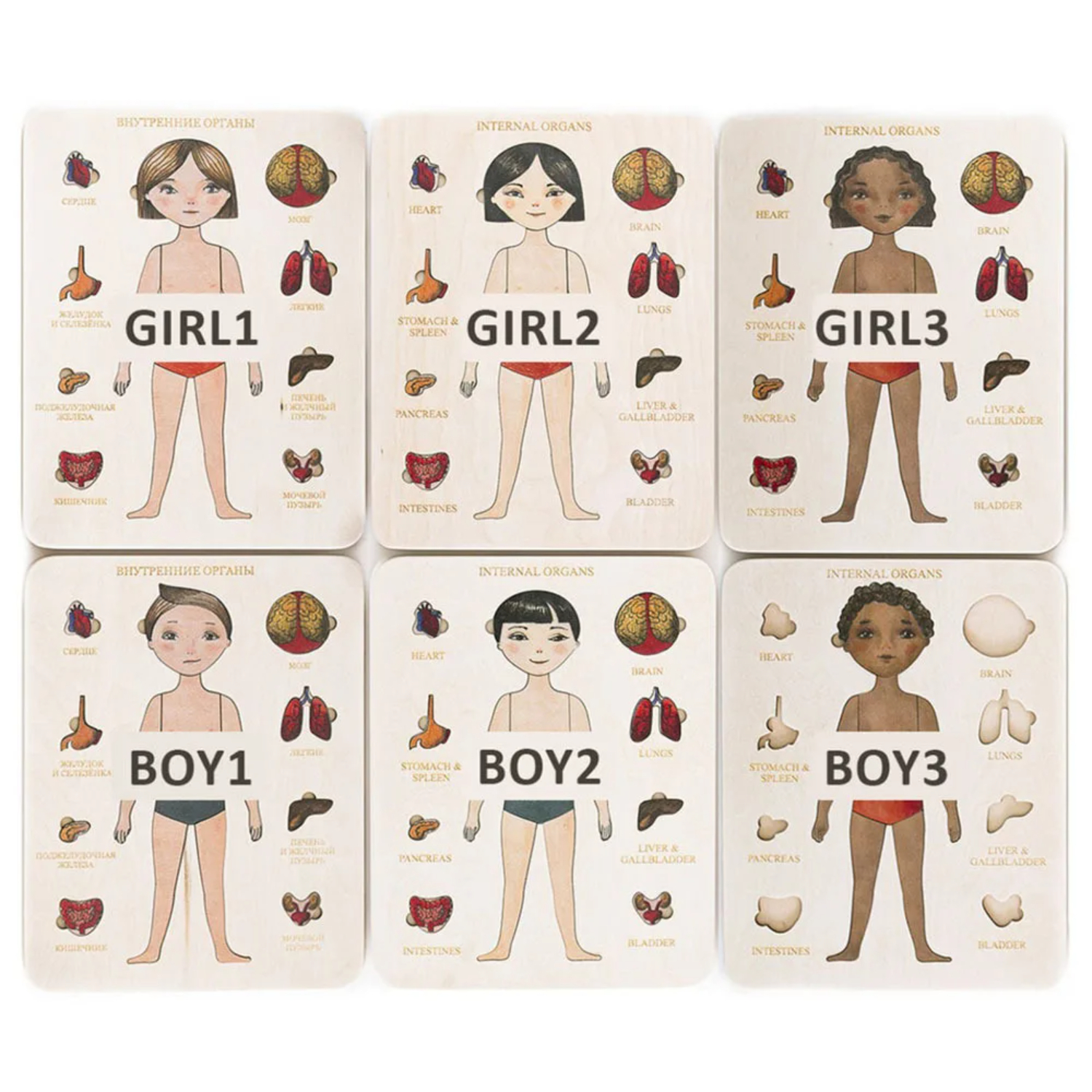 Montessori Wooden Puzzle Male  - đánh giá và giá Human Body Puzzle