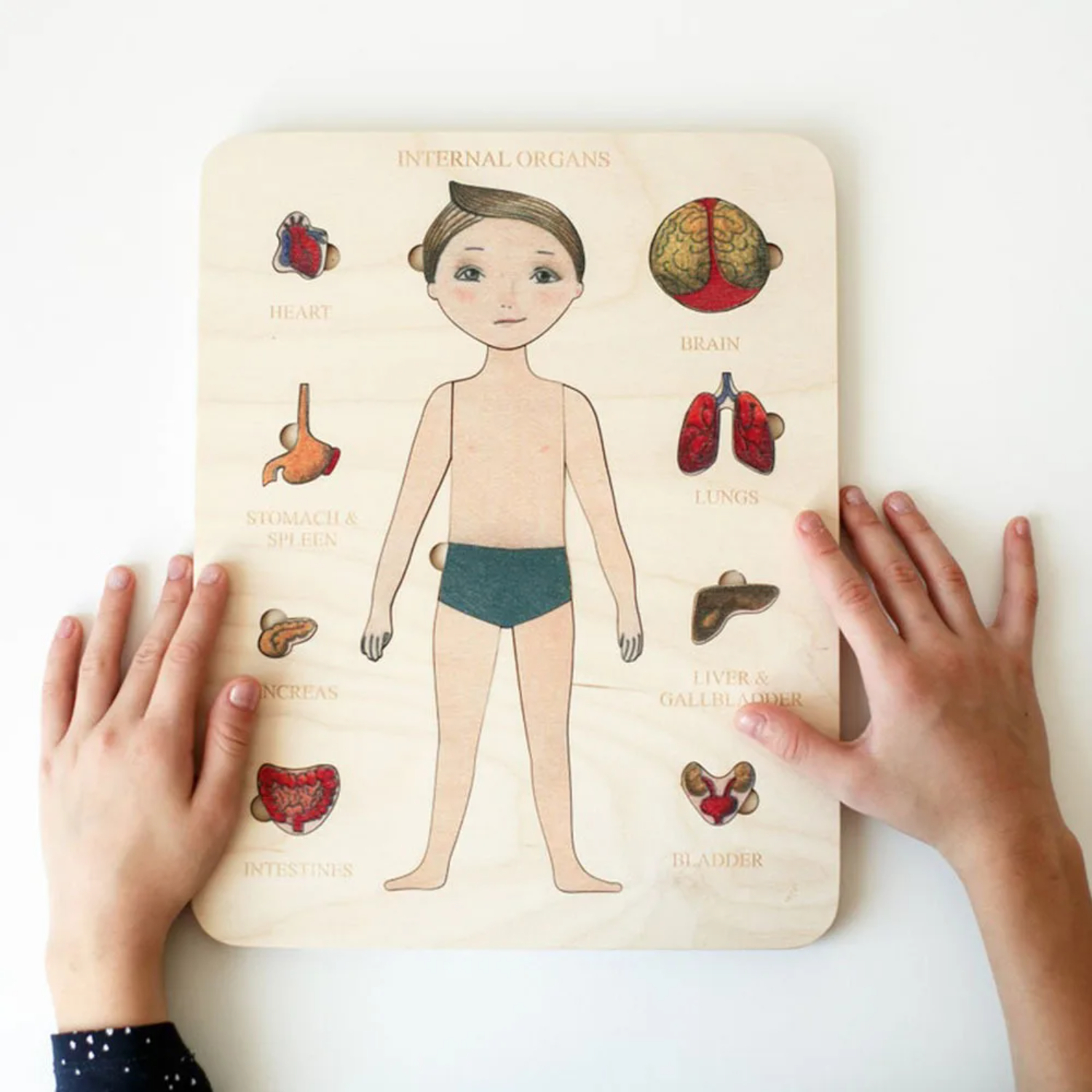 Montessori Wooden Puzzle Male  - đánh giá và giá Human Body Puzzle