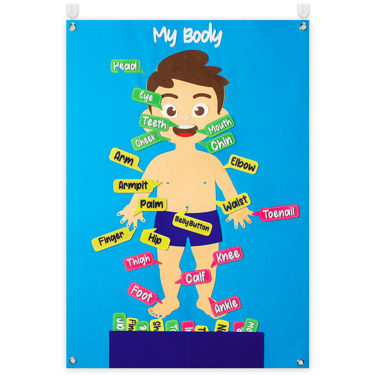 35Pcs Body Awareness Full Felt - đánh giá và giá Human Body Puzzle