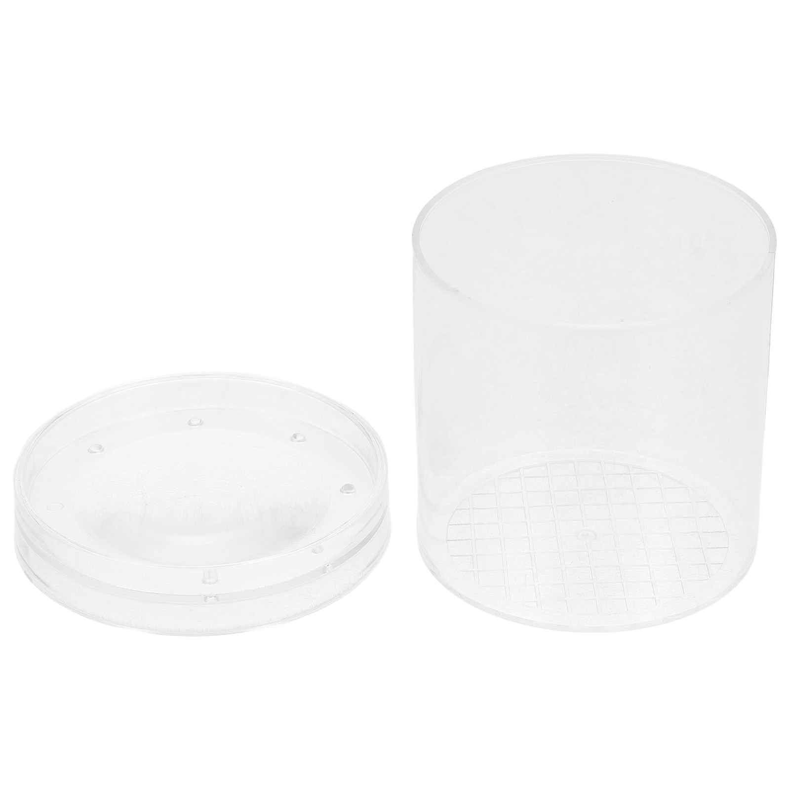 3X Magnifying Insect Observati - đánh giá và giá Kids Education Tools
