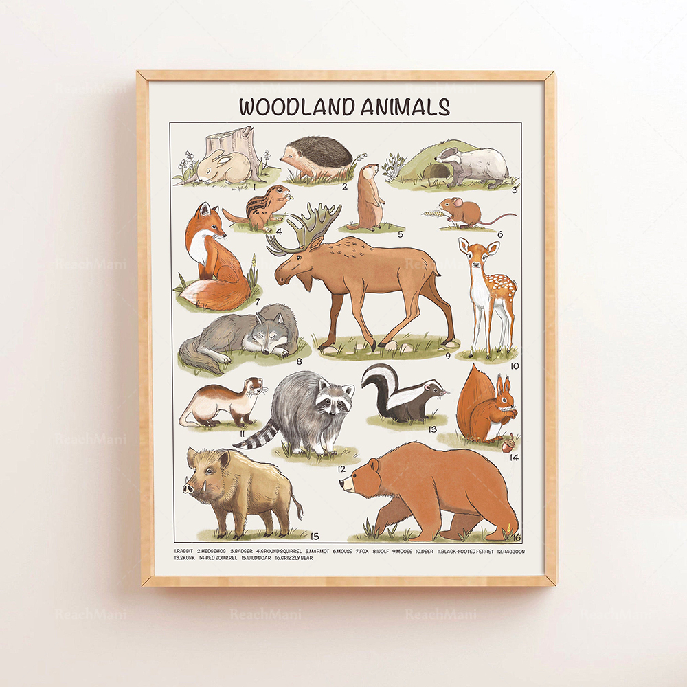 Safari Animals Educational Pos - đánh giá và giá Kids Education Nursery