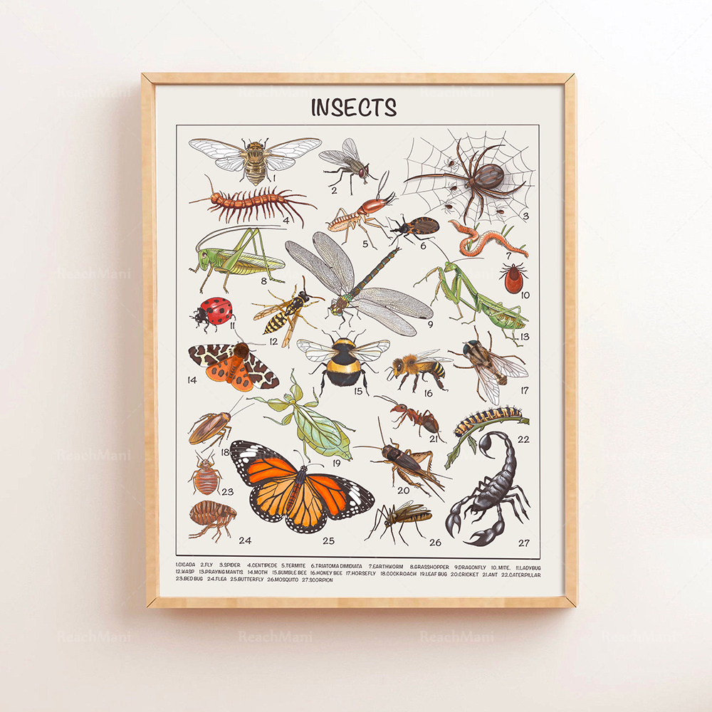 Safari Animals Educational Pos - đánh giá và giá Kids Education Nursery