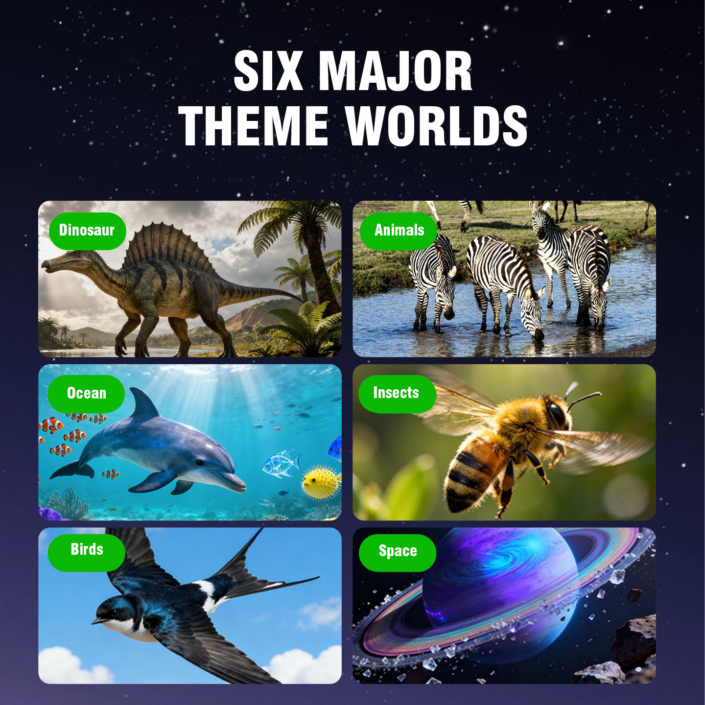 3D Stereoscopic Viewer Toy wit - đánh giá và giá Kids Education Reels