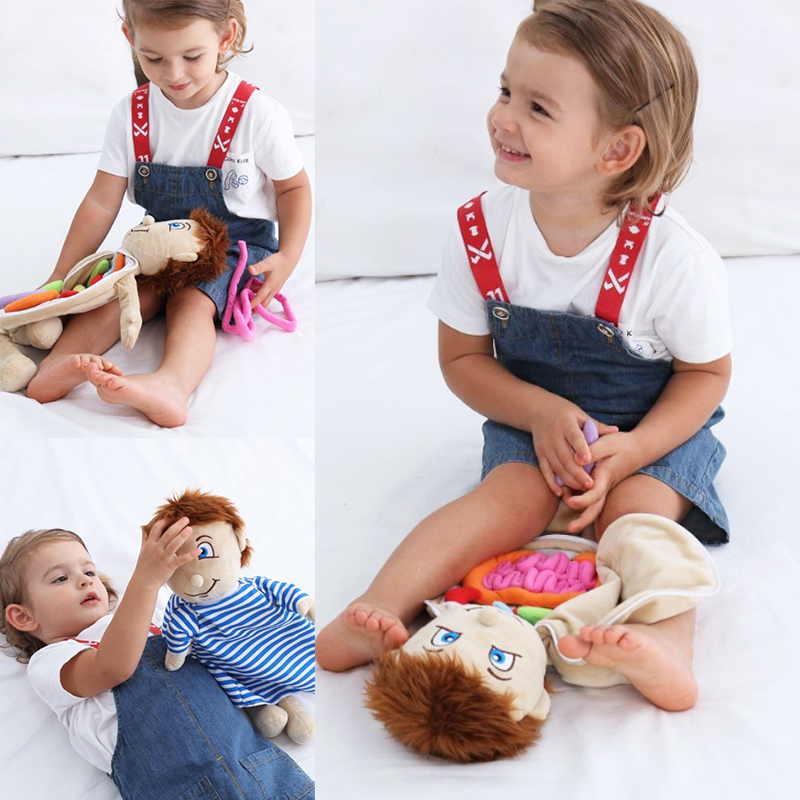 Kid 3D Puzzle Human Body  Mode - đánh giá và giá Human Body Puzzle