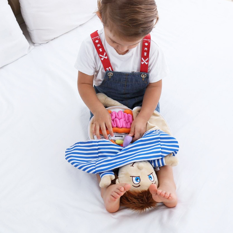 Kid 3D Puzzle Human Body  Mode - đánh giá và giá Human Body Puzzle