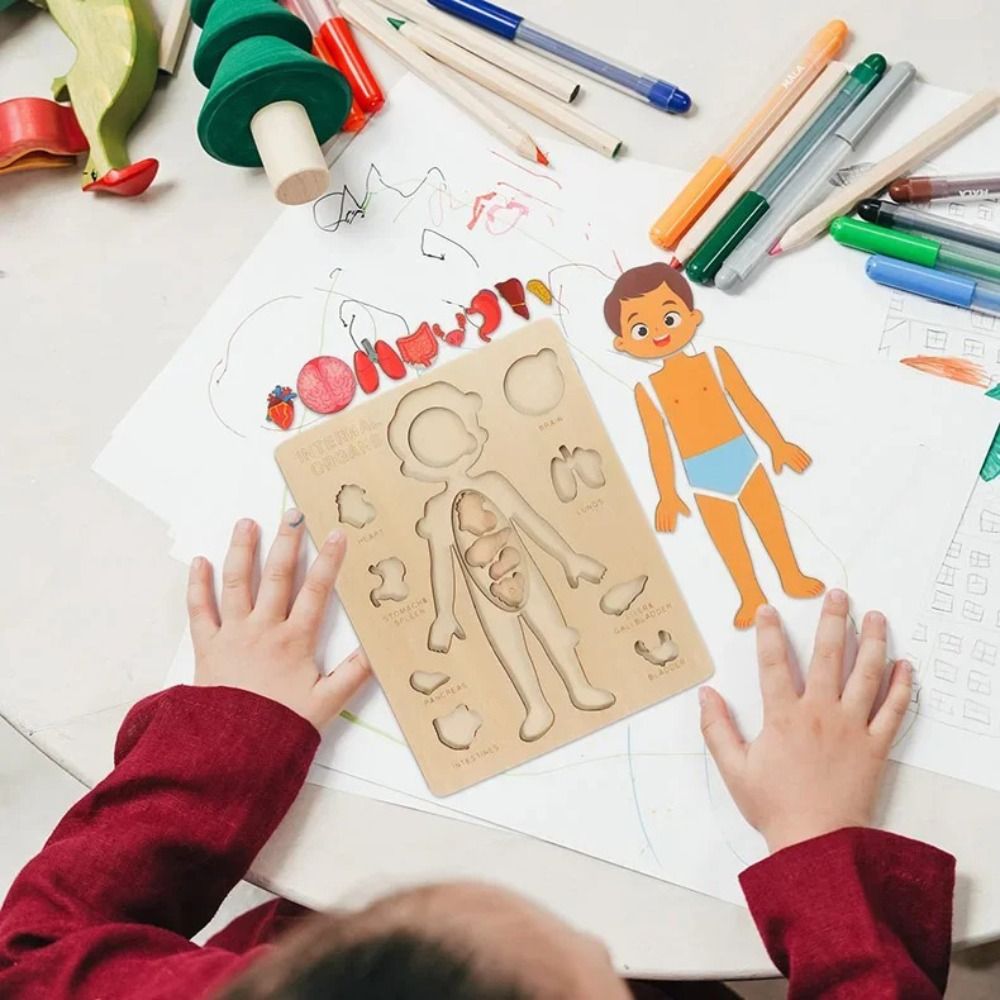 NEW Learning Board Montessori  - đánh giá và giá Human Body Puzzle