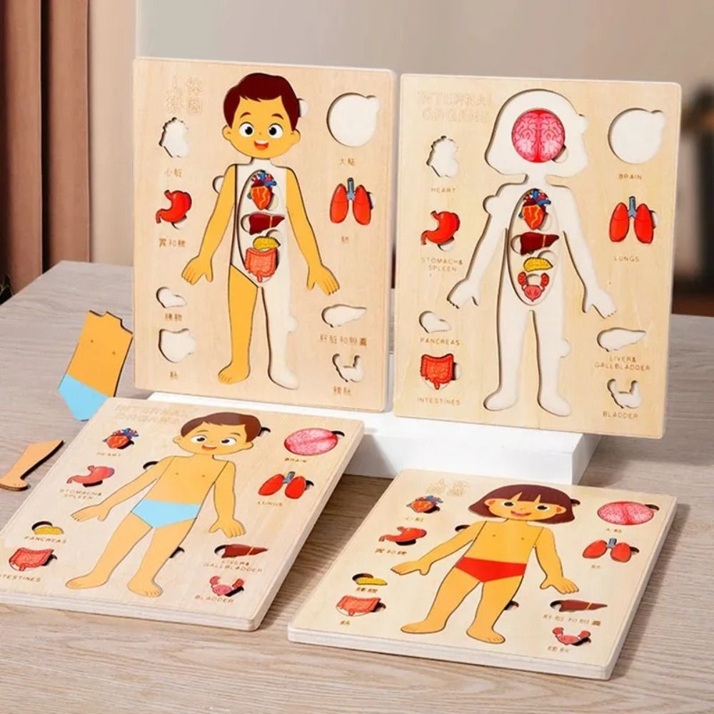 NEW Learning Board Montessori  - đánh giá và giá Human Body Puzzle