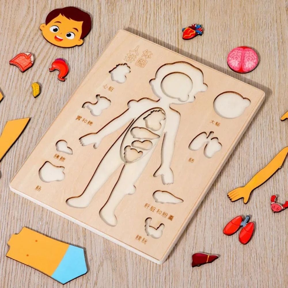 NEW Learning Board Montessori  - đánh giá và giá Human Body Puzzle