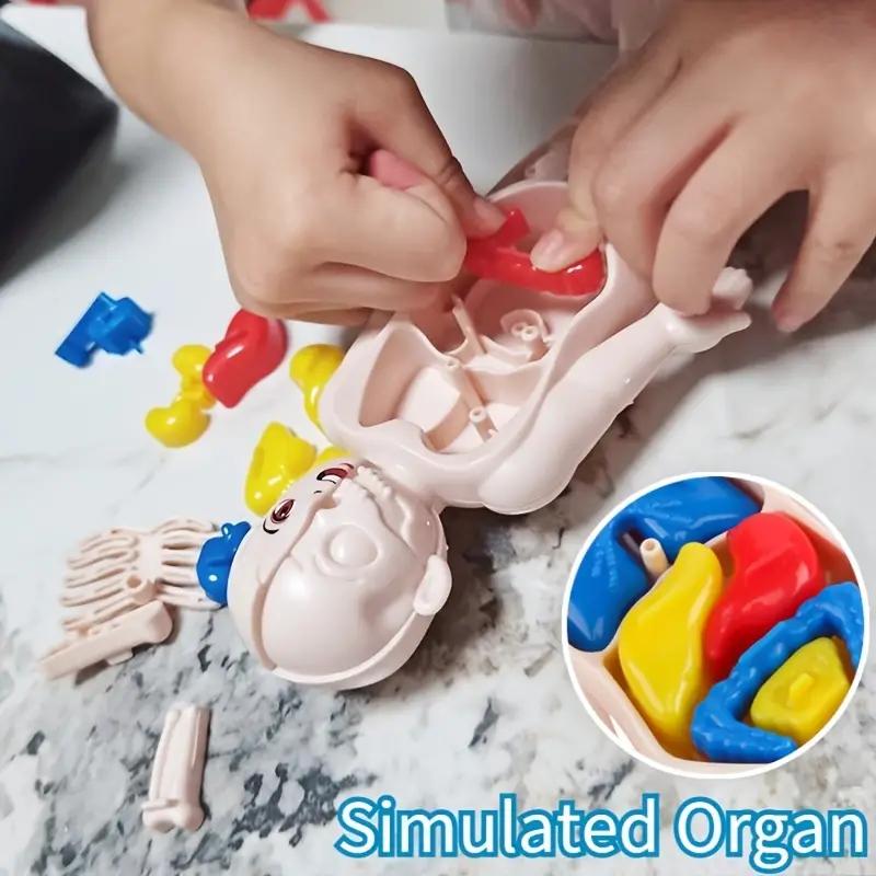 14PCS/Set 3D Puzzle Human Anat - đánh giá và giá Human Body Puzzle