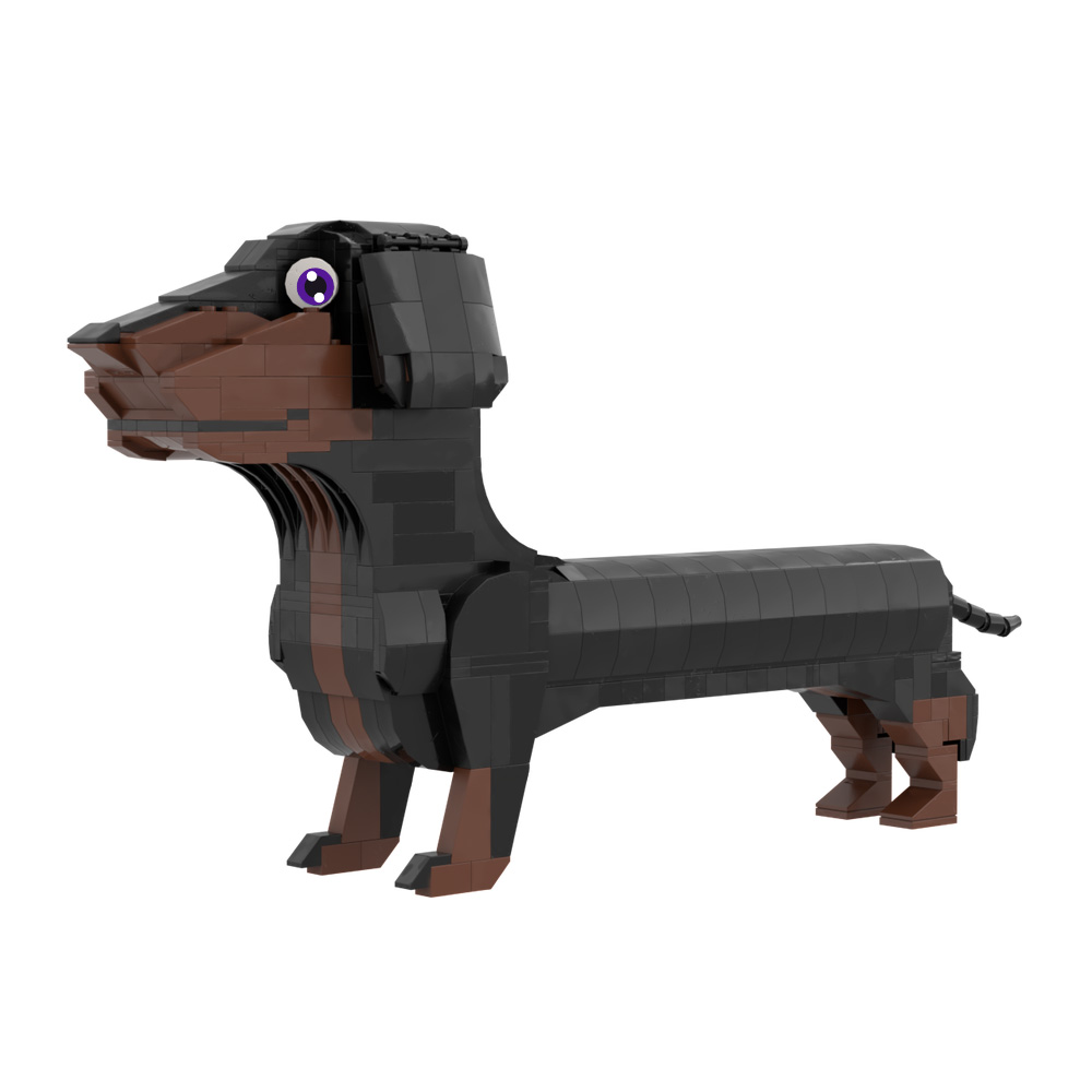 2026 New MOC Germany Dachshund - đánh giá và giá Kids Education In Germany