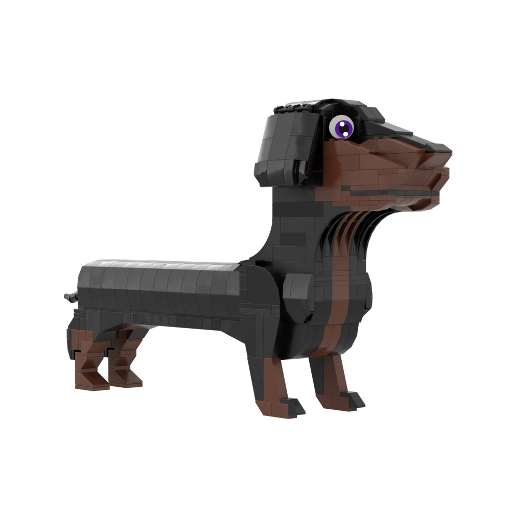 2026 New MOC Germany Dachshund - đánh giá và giá Kids Education In Germany