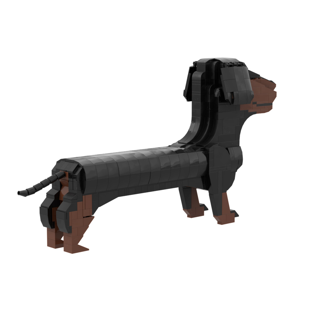 2026 New MOC Germany Dachshund - đánh giá và giá Kids Education In Germany