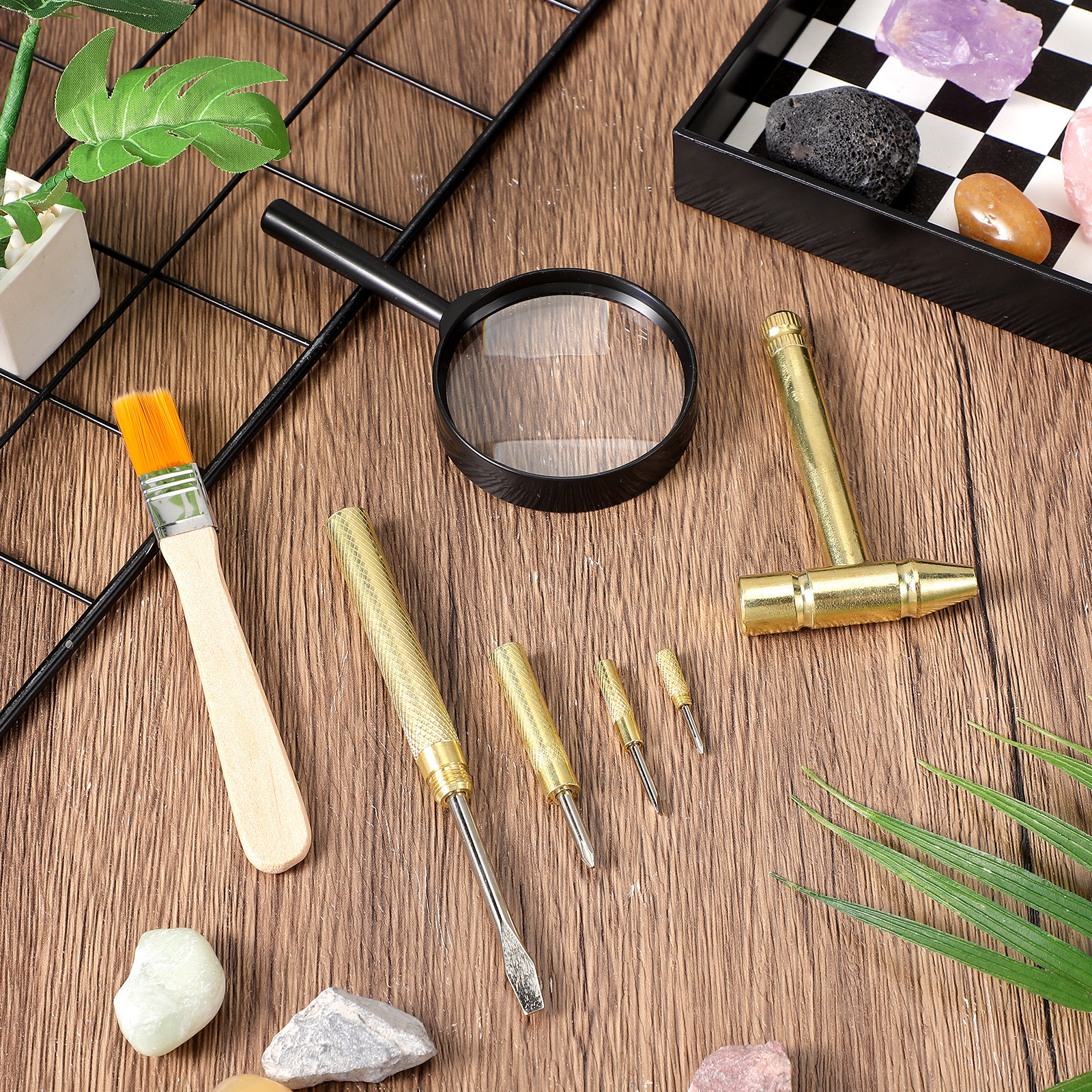 1Set Pretend Archaeological Ex - đánh giá và giá Kids Education Tools