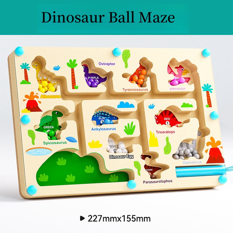 Magnetic Maze Toy With Magneti - đánh giá và giá Human Body Puzzle