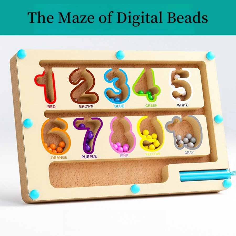 Magnetic Maze Toy With Magneti - đánh giá và giá Human Body Puzzle